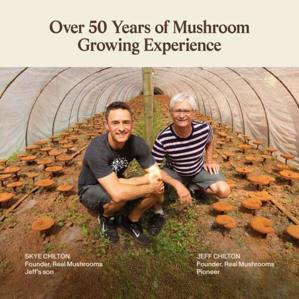 PDP_50Years (1) Organic Reishi Mushroom Capsules
