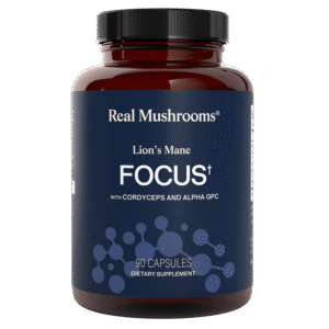Lion's Mane Focus