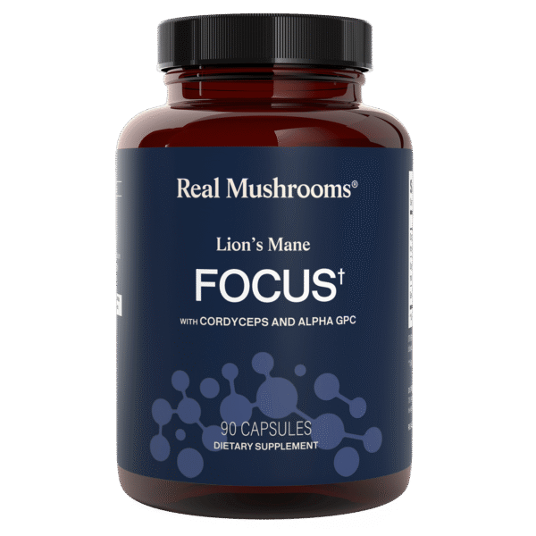 Lion's Mane Focus